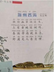 1583821518752945.jpg 老师反馈1.jpg
